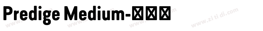 Predige Medium字体转换